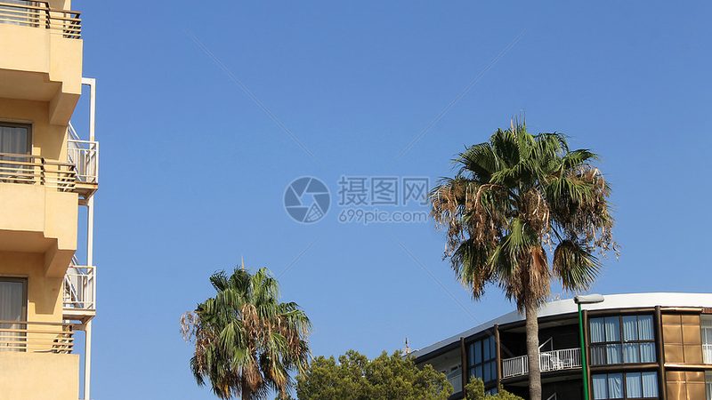 冬令营师资配比标准